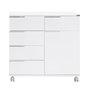 Hanah Home Armario Multiusos Blanco con 5 Cajones